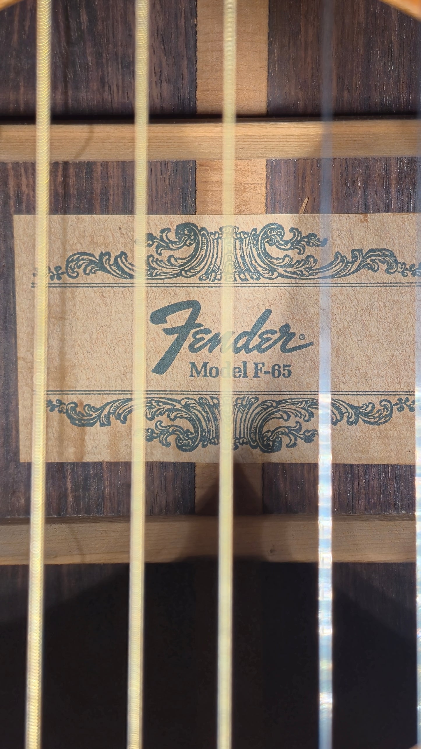Fender F-65