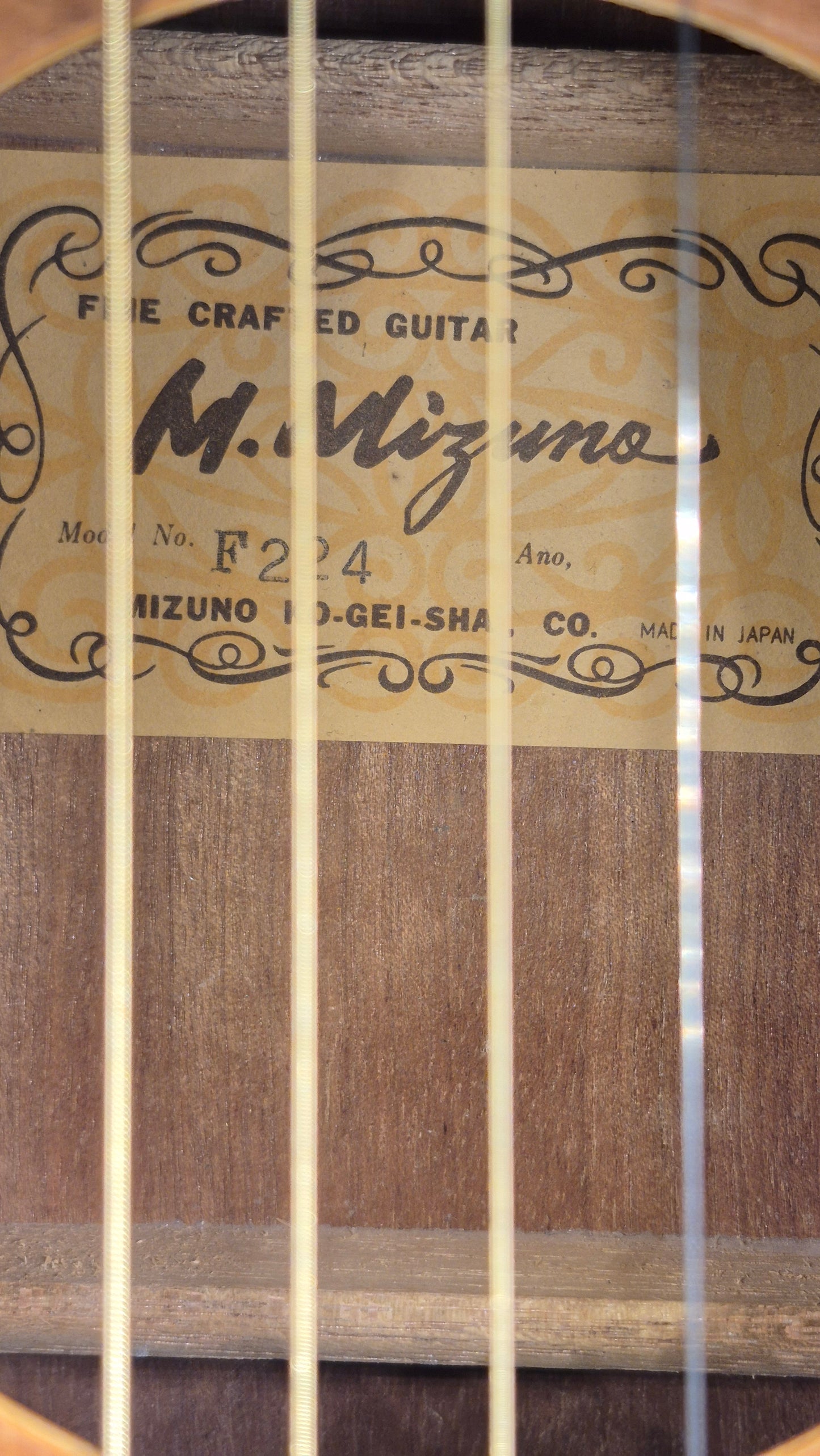 M. Mizuno F224