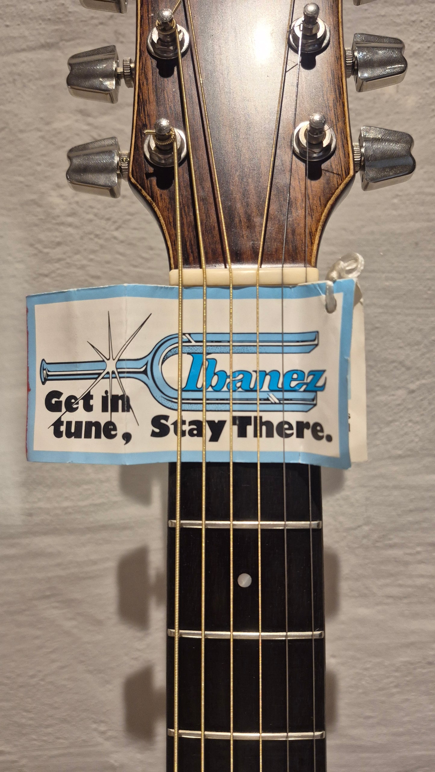 Ibanez Artwood AW-20 1980