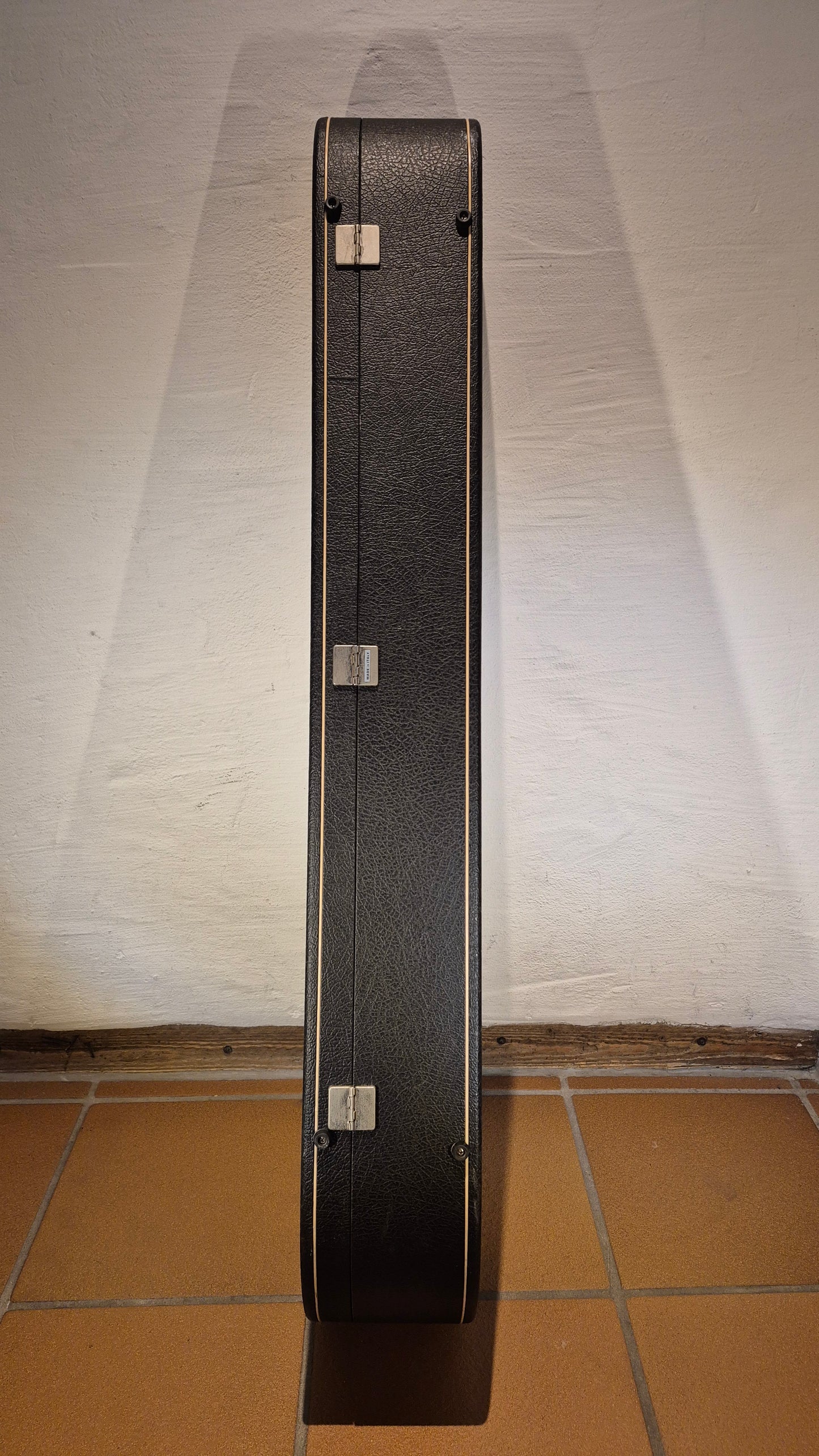 Koffer für Western Gitarren