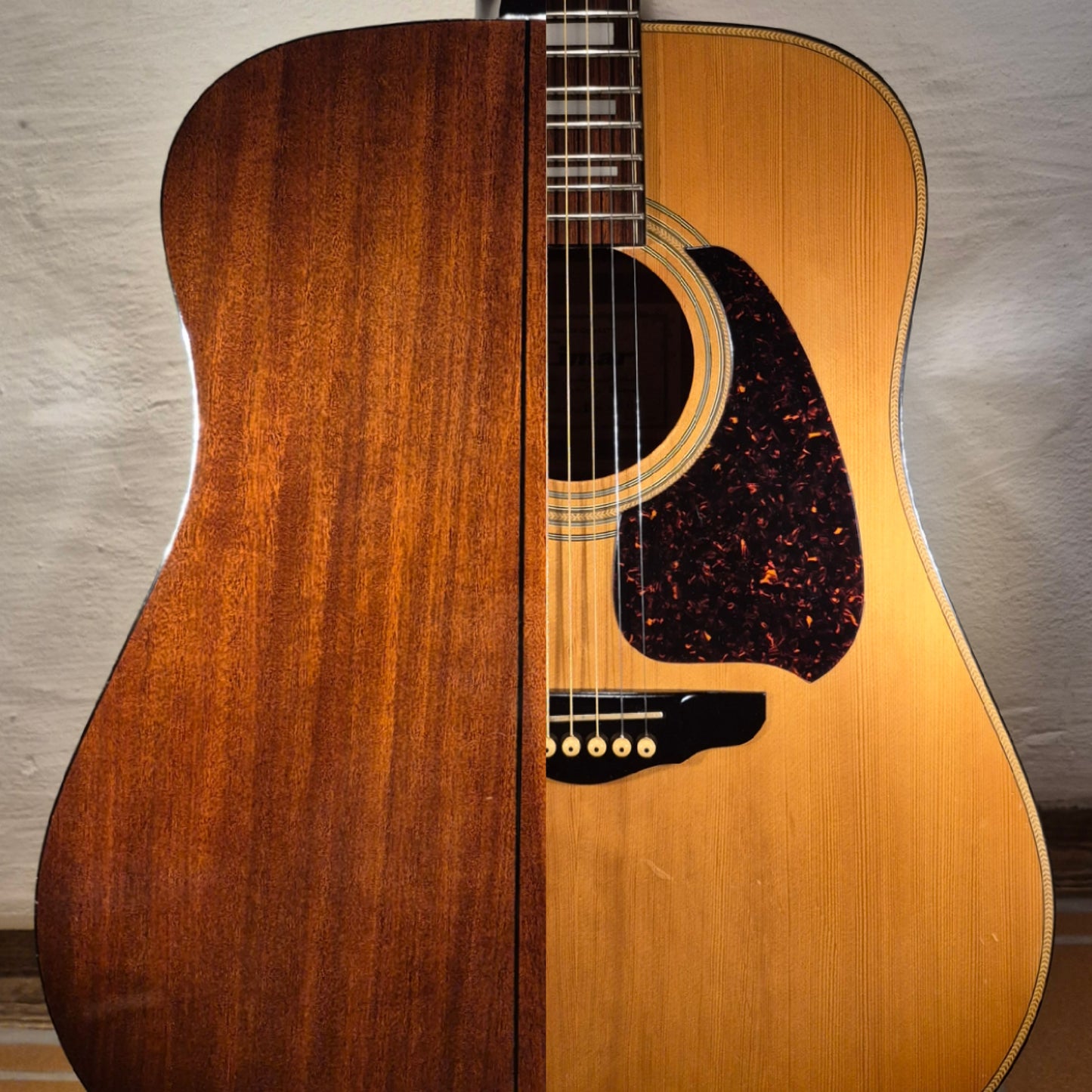Cimar (Ibanez) D-350