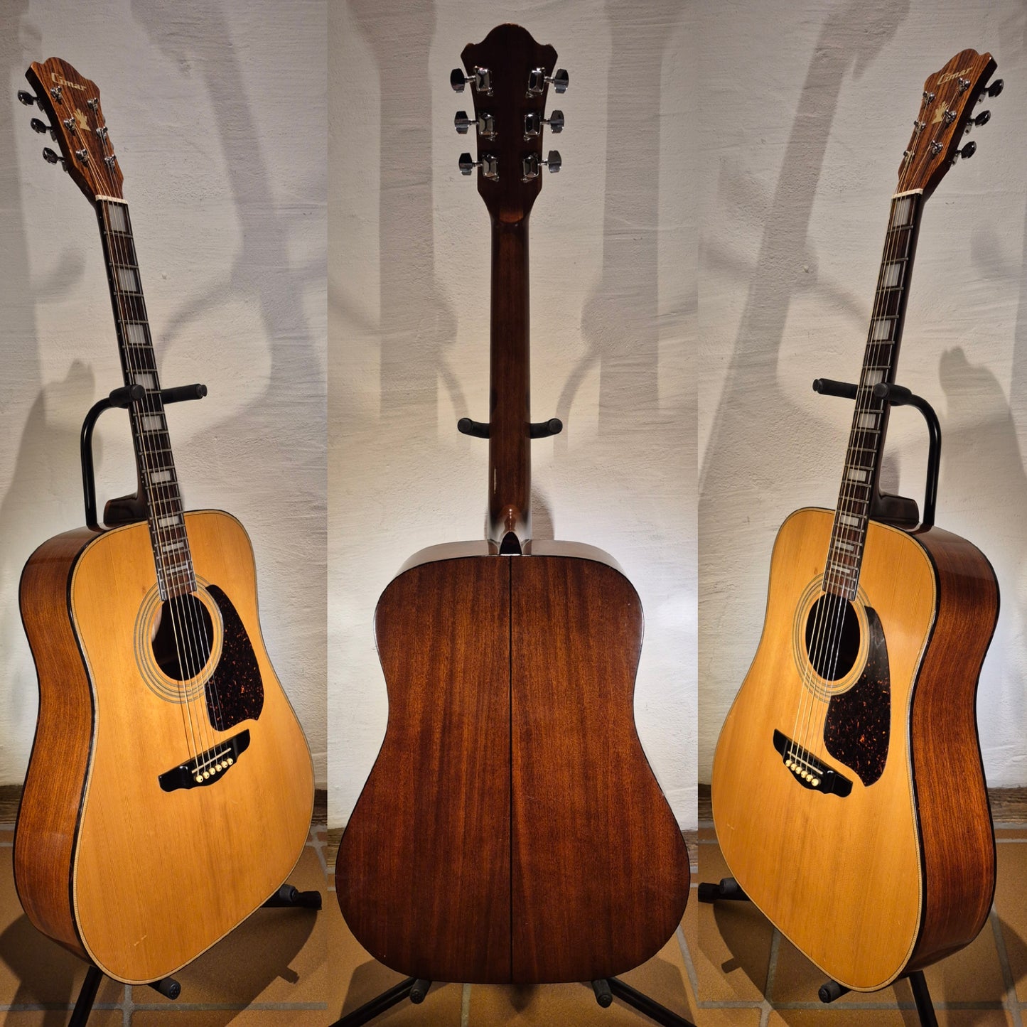 Cimar (Ibanez) D-350
