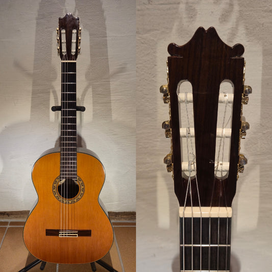 Ibanez Andorra Classic Conservatory GA100 1980