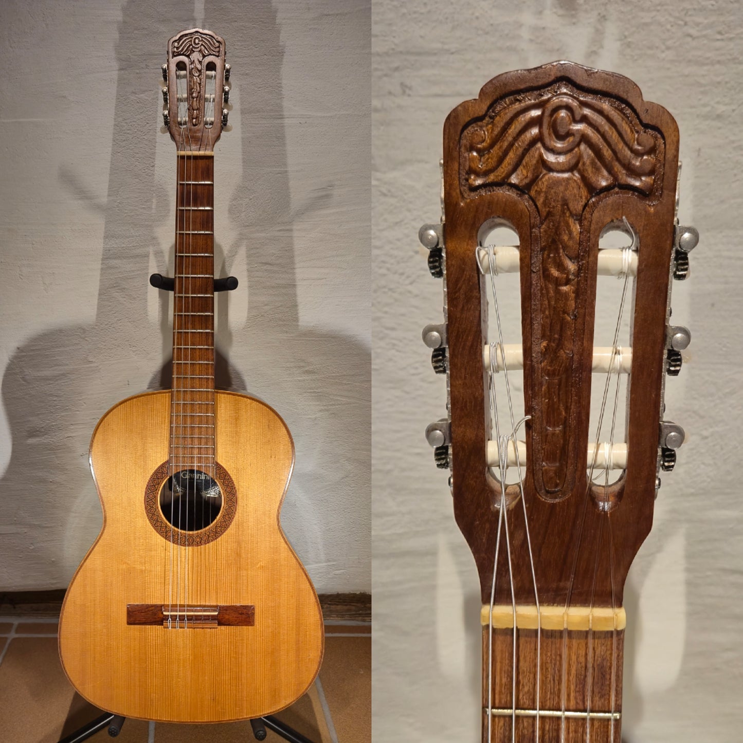 Giannini AWN31