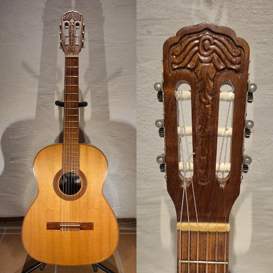 Giannini AWN31