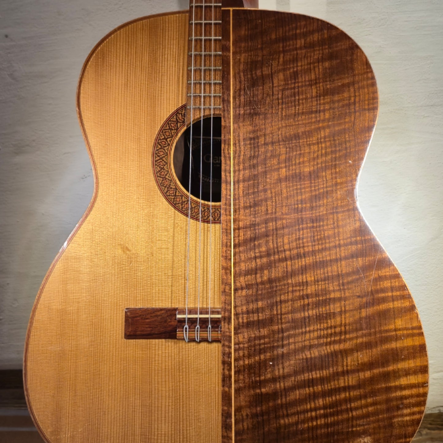Giannini AWN31