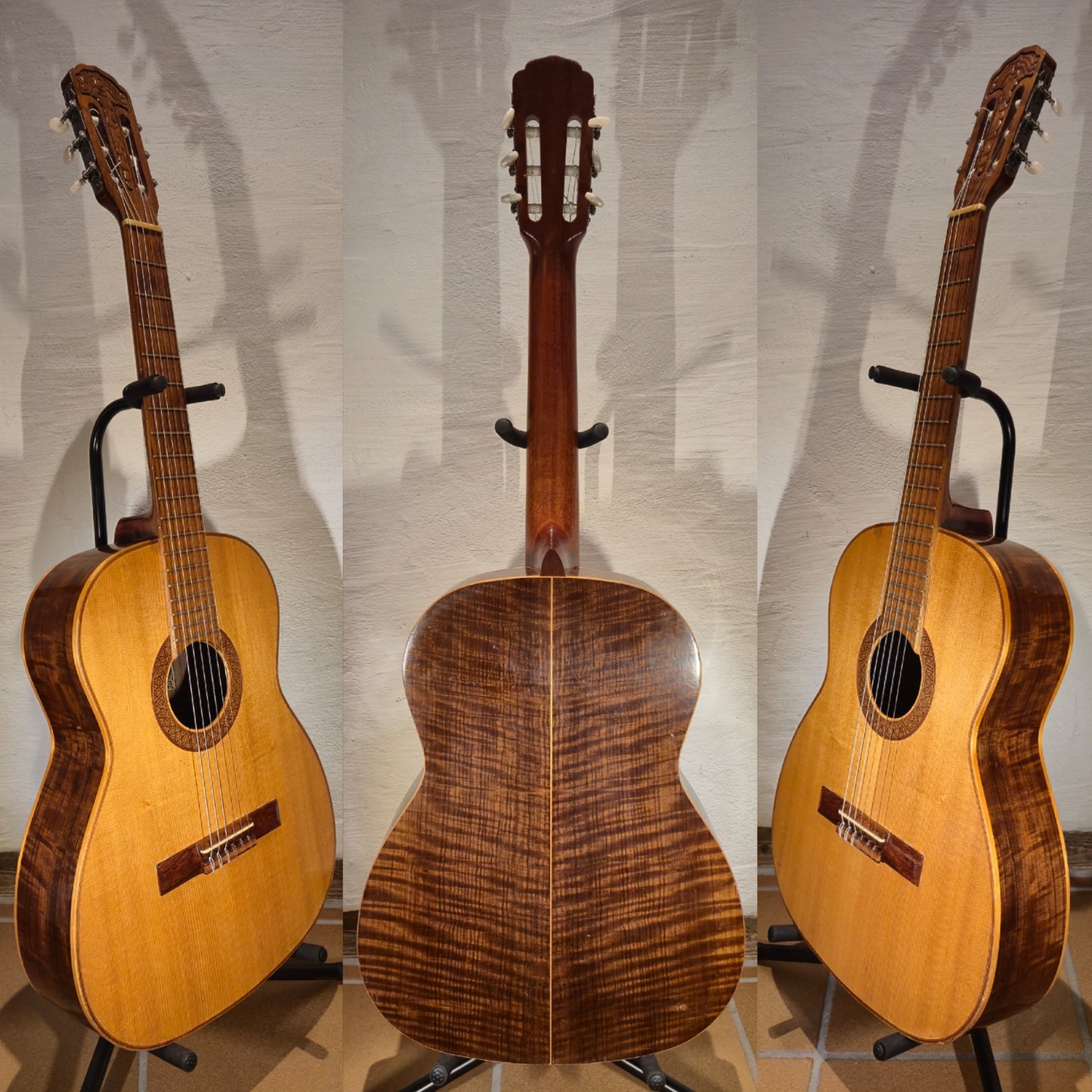 Giannini AWN31