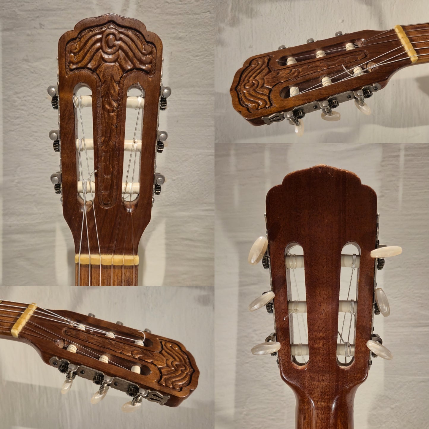 Giannini AWN31