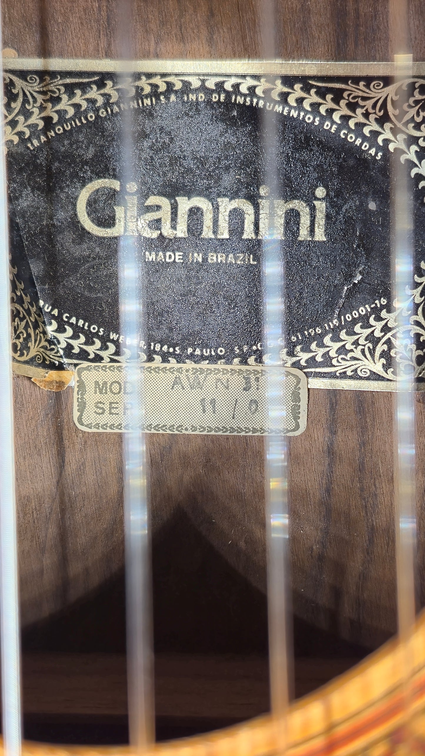 Giannini AWN31