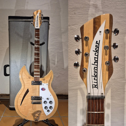 Rickenbacker 381/V69 MG 2013