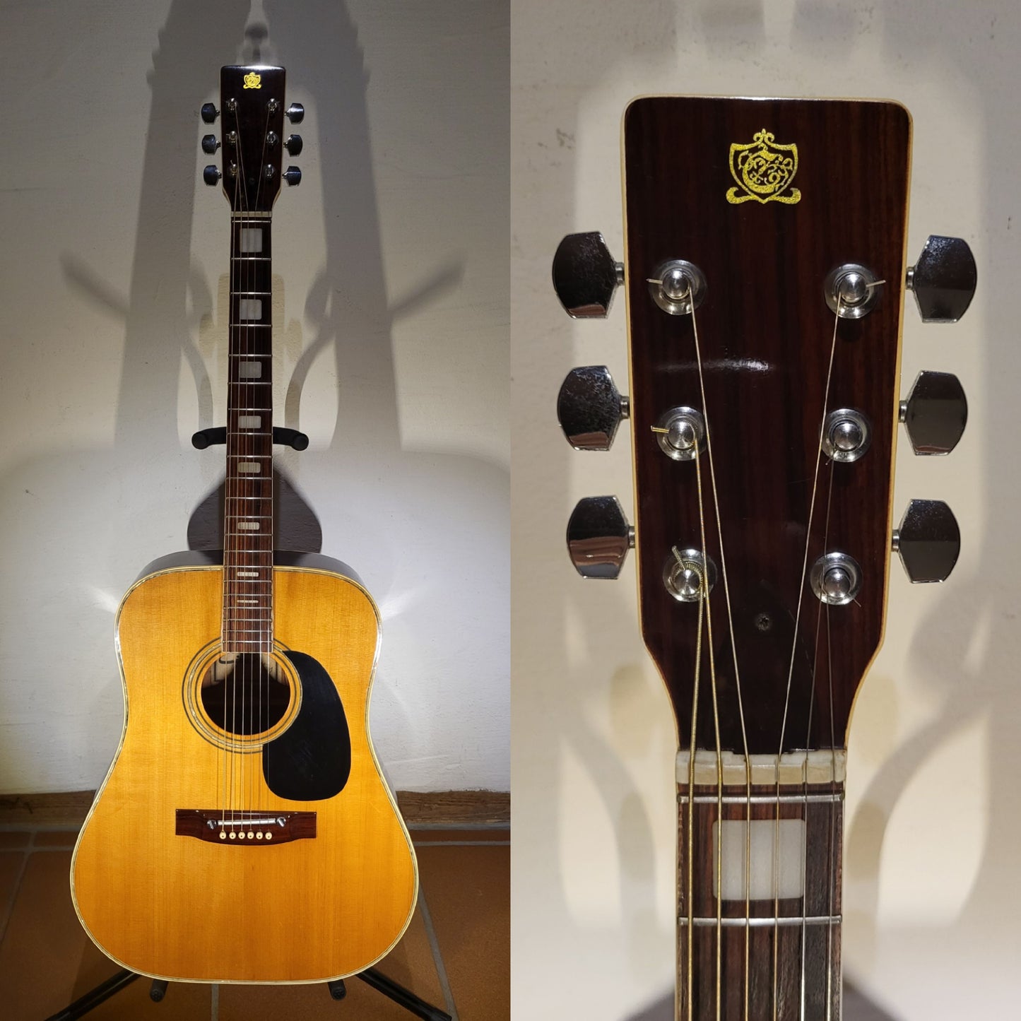 Cimar (Ibanez) 369
