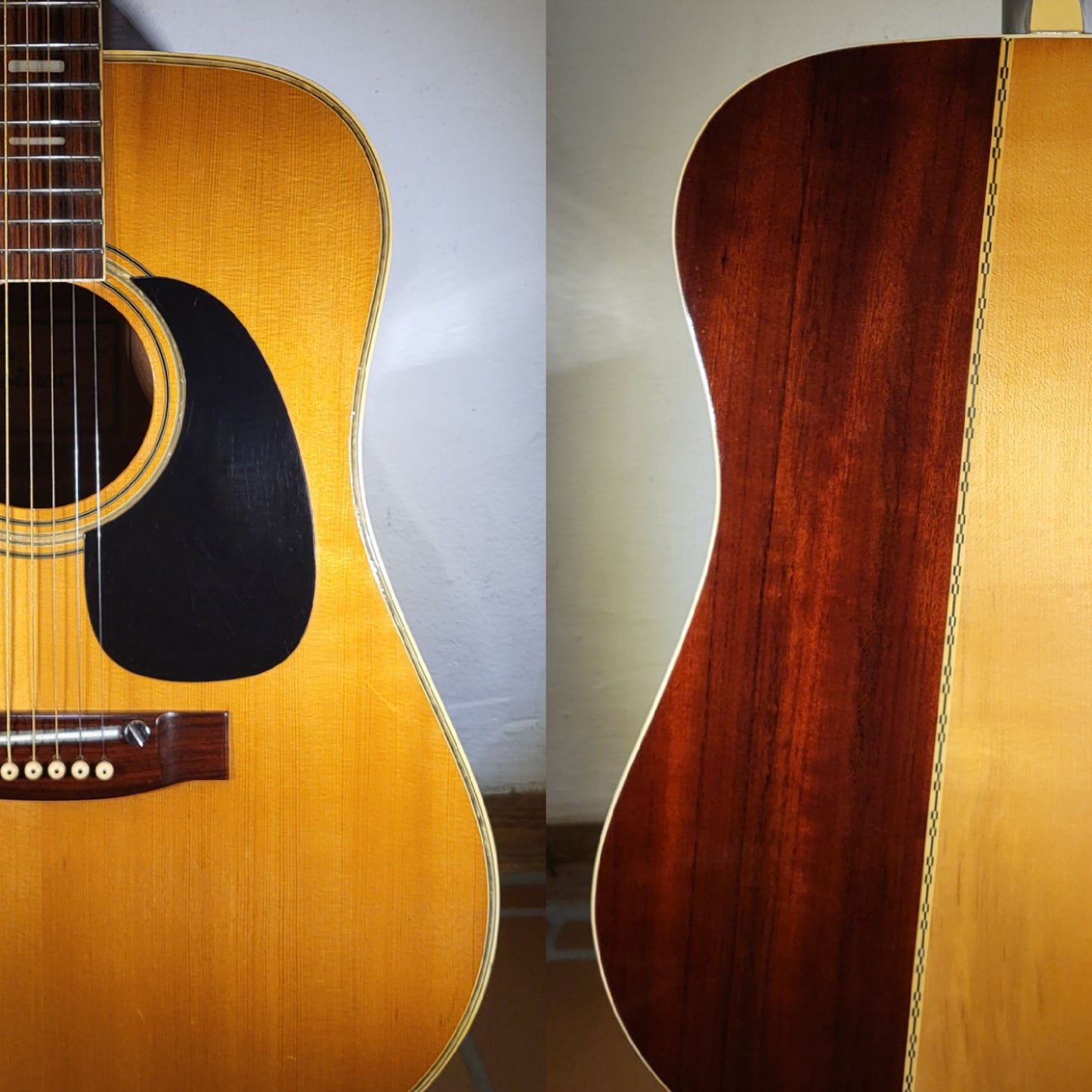 Cimar (Ibanez) 369