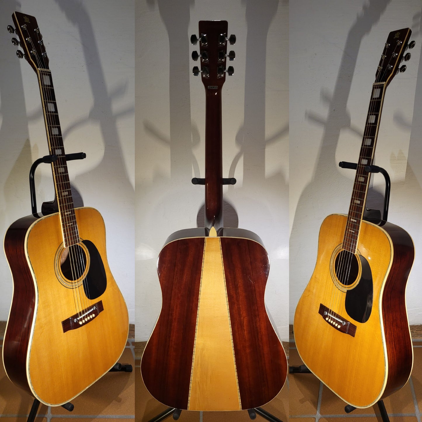 Cimar (Ibanez) 369