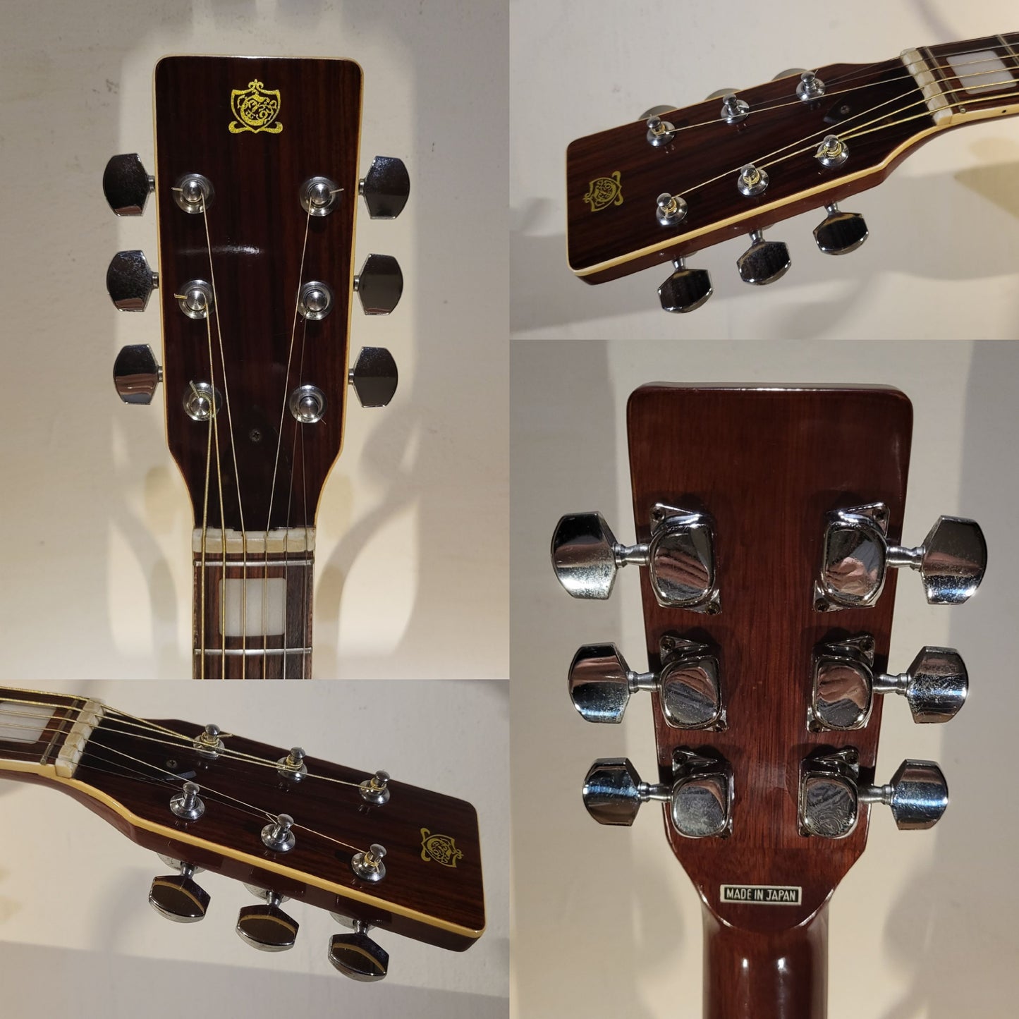 Cimar (Ibanez) 369
