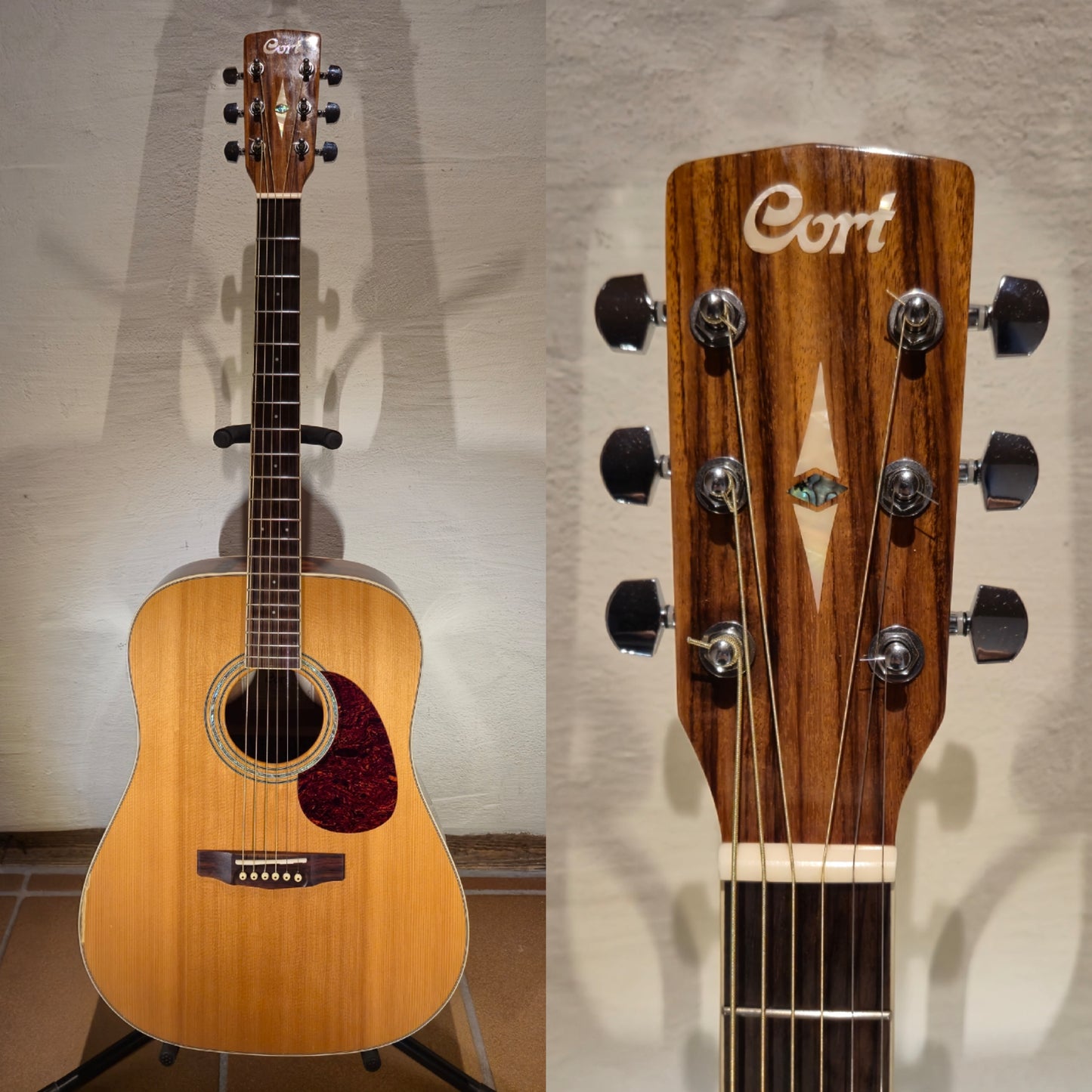 Cort Earth 100 NAT
