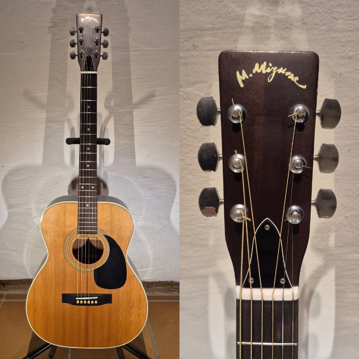 M. Mizuno F224