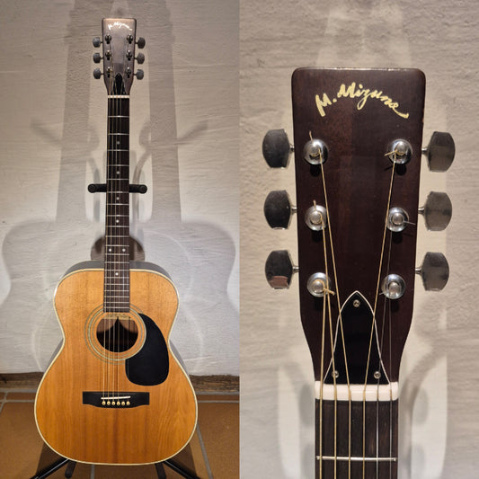 M. Mizuno F224