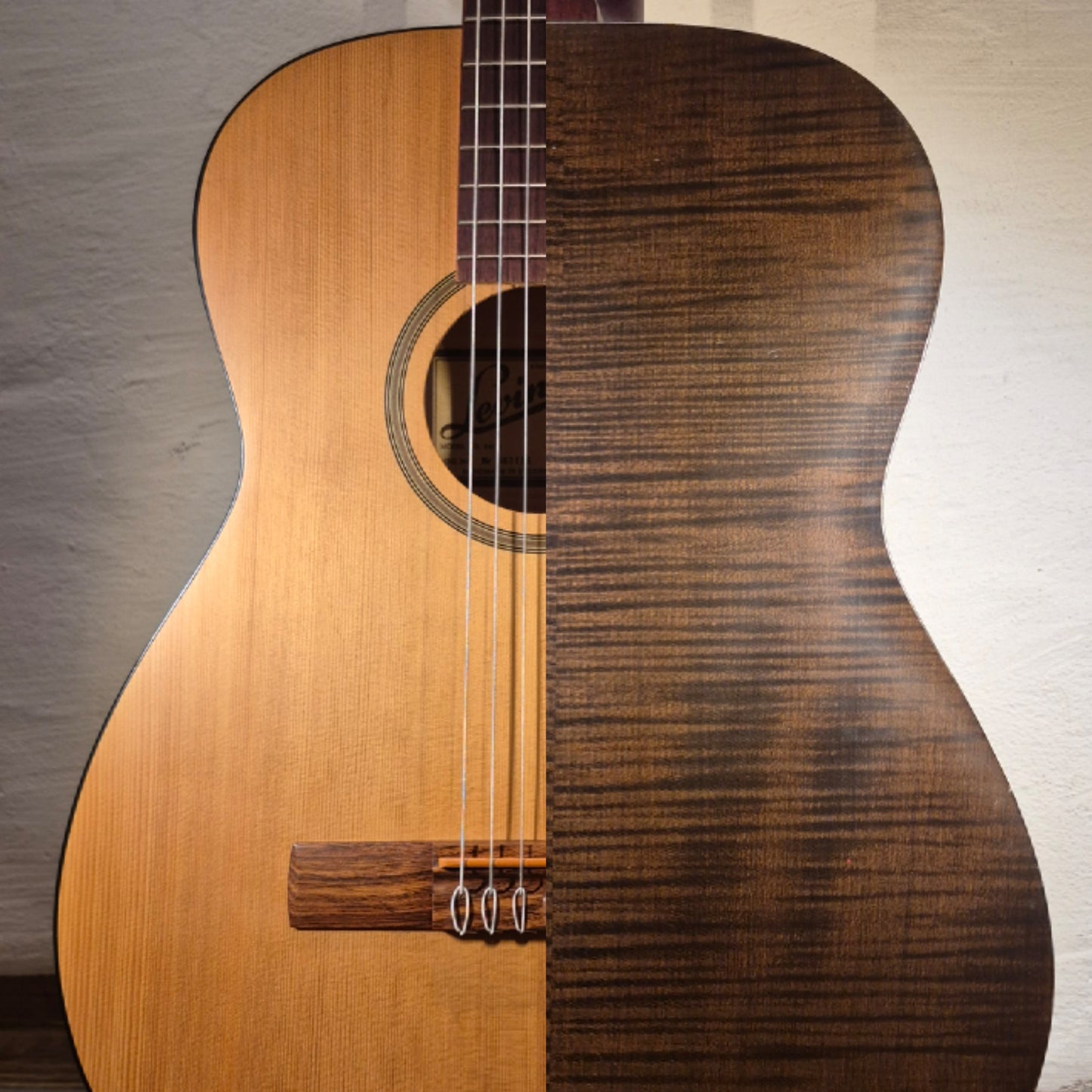 Levin LG-4 1976