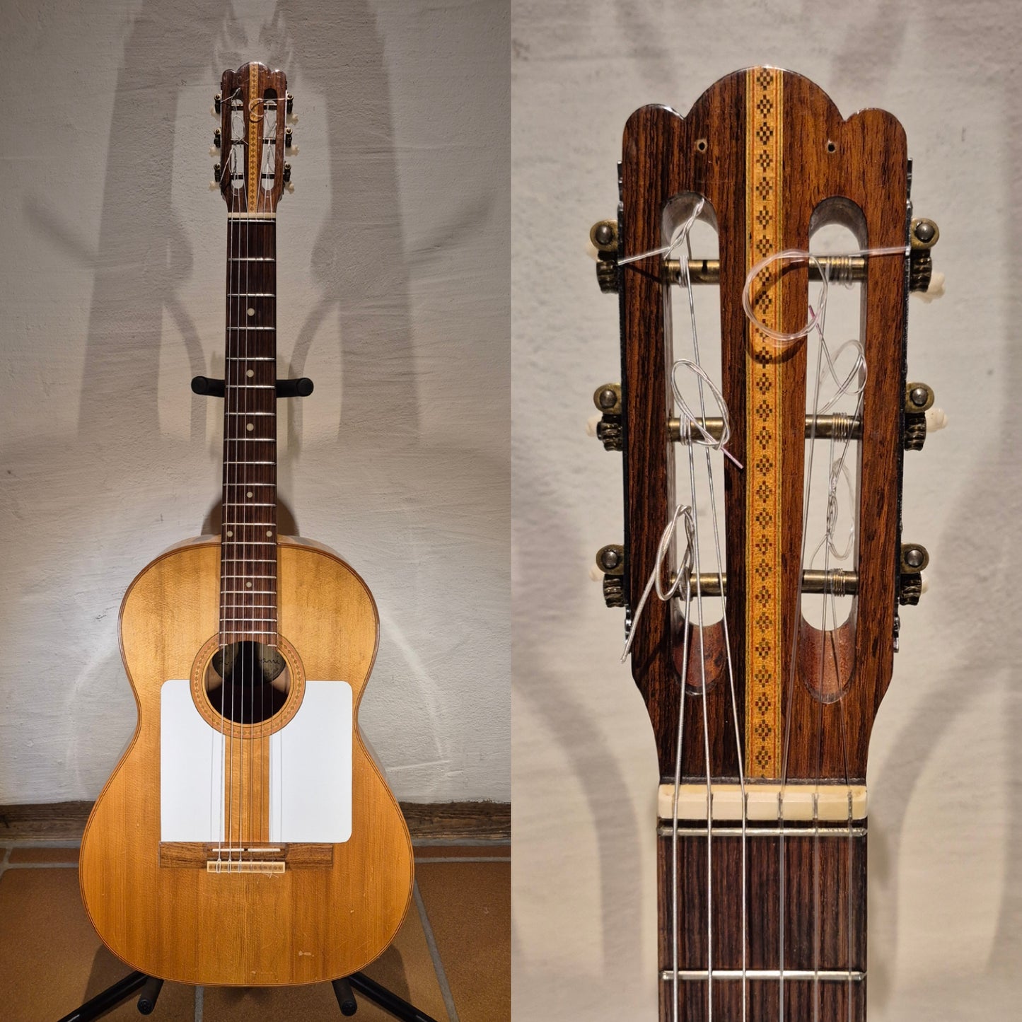 Luigi Mozzani Flamenco