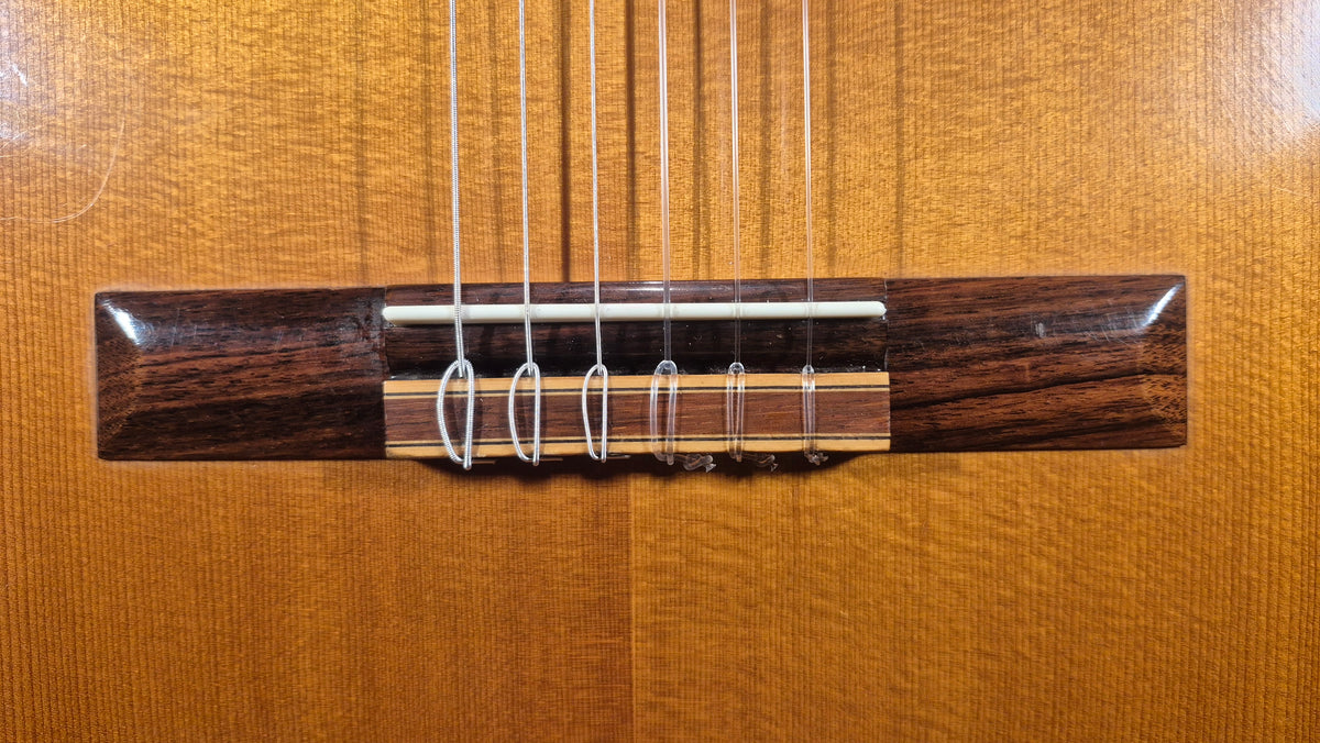 Ibanez Andorra Classic Conservatory GA60