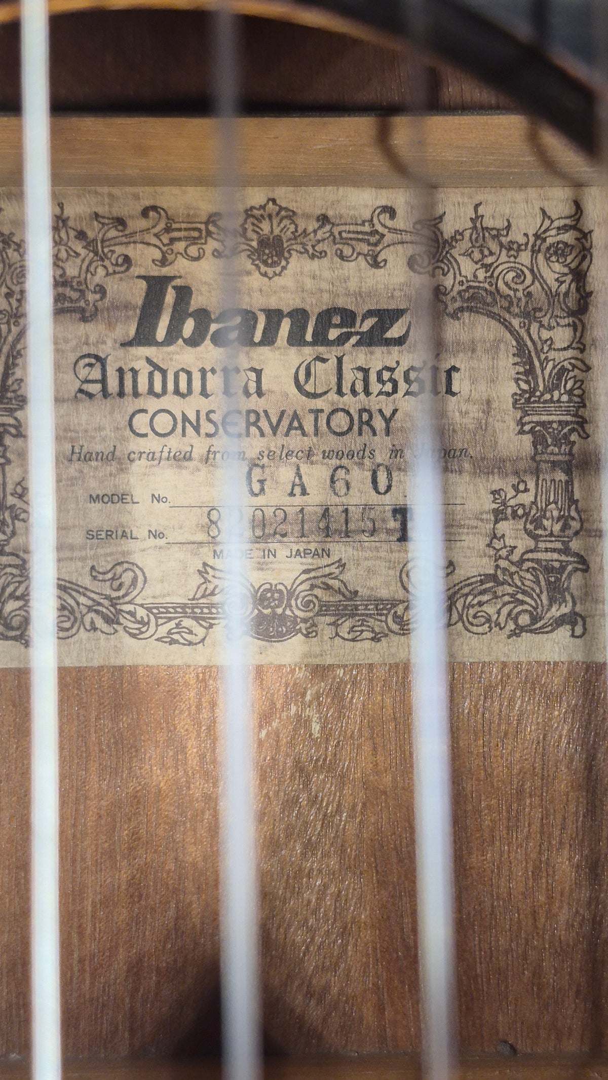 Ibanez Andorra Classic Conservatory GA60