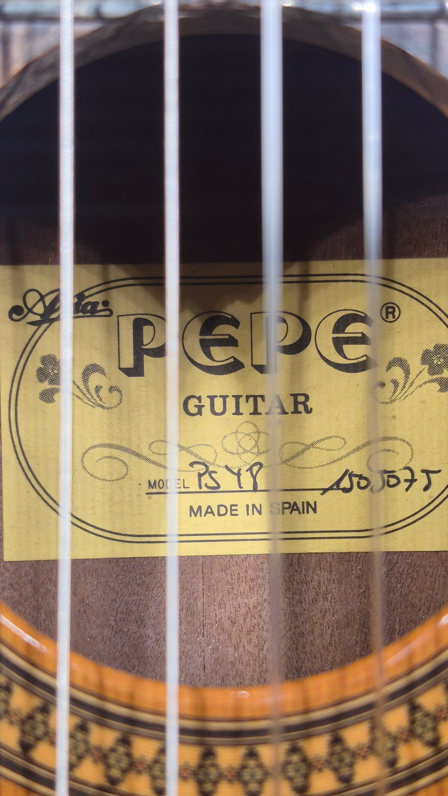 Kinder Gitarre Pepe PS-48