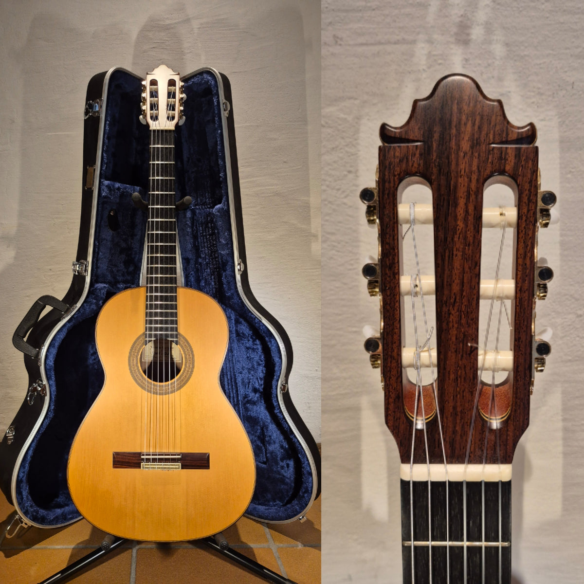 Vicente Carrillo India Estudio 2020
