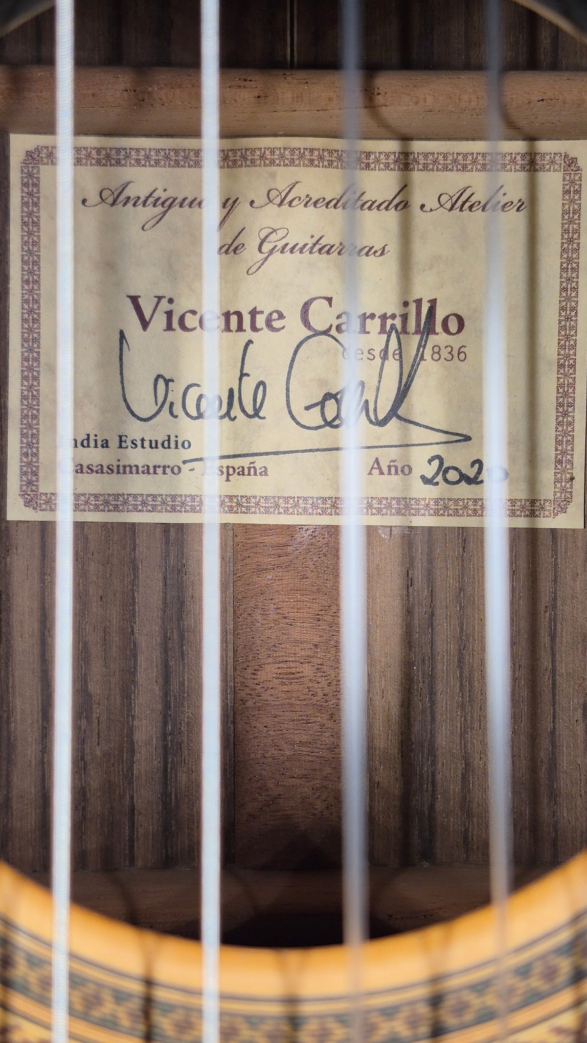 Vicente Carrillo India Estudio 2020