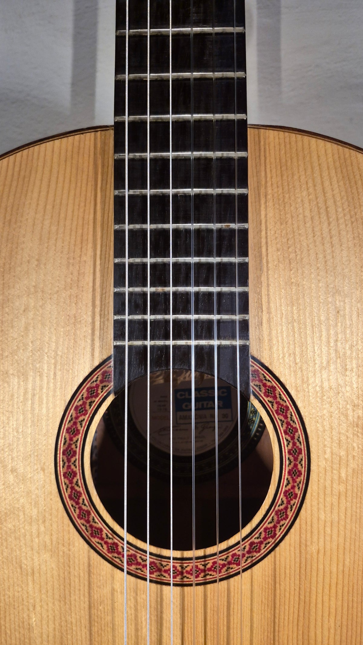 Di Giorgio Amazonia No. 30 1978