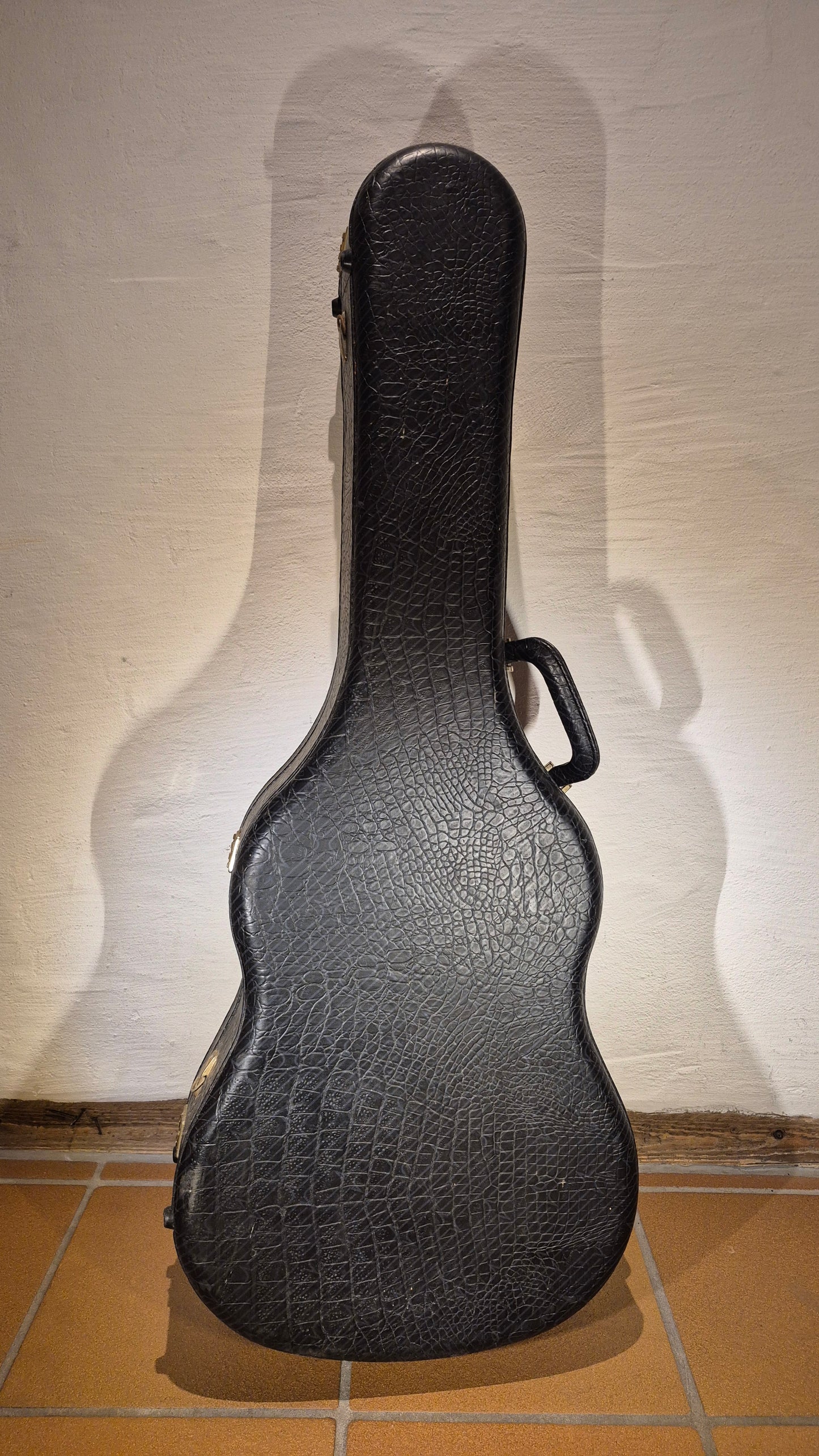 Koffer für klassische Gitarren